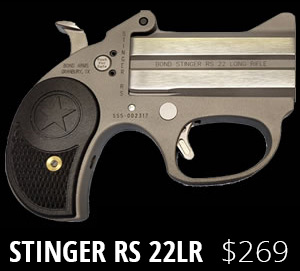 Stinger RS 22LR